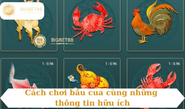 Cách chơi bầu cua cùng những thông tin hữu ích