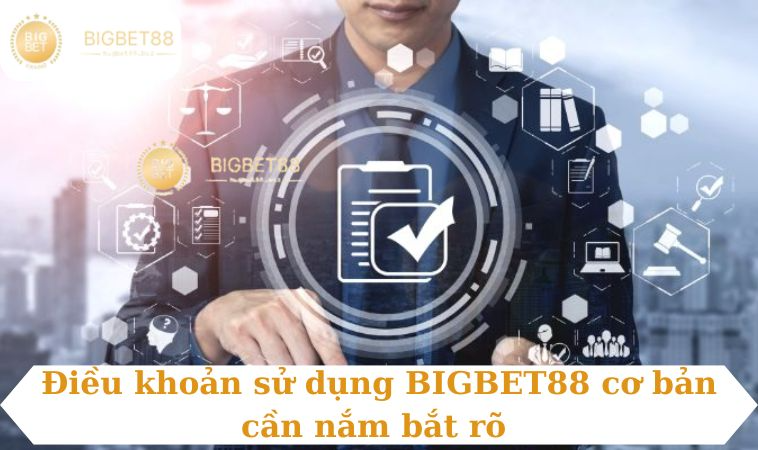 Điều khoản sử dụng BIGBET88 cơ bản cần nắm bắt rõ 