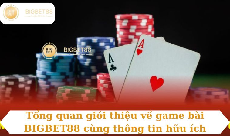 Tổng quan giới thiệu về game bài BIGBET88 cùng thông tin hữu ích